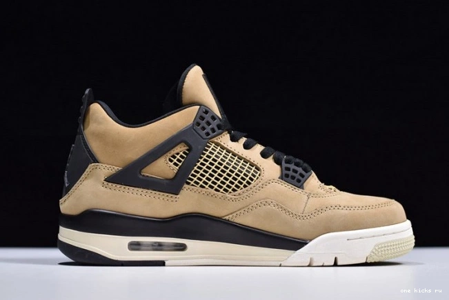 Chep Onekick 4 Jordan Mushroom Air AQ9129-200 0701